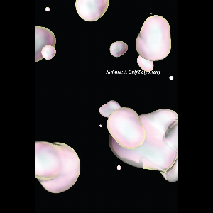 Nahma – A Gulf Polyphony