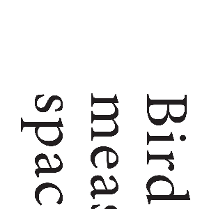 Thomas Tilly – Birds Measuring Space
