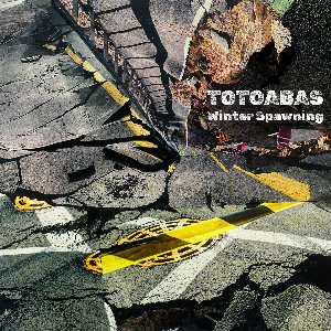 Totoabas – Winter Spawning