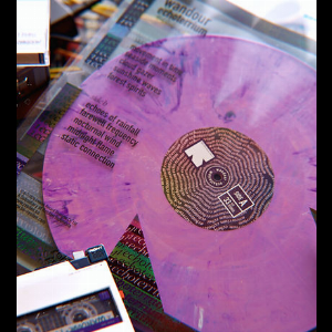 Wandour – Echoterrium (Marble Purple Color Vinyl)
