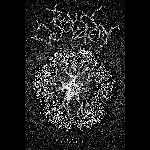 Train Cemetery – Aught