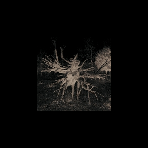 Trente Oiseaux Familiers – S/T