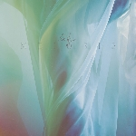 Ele Ypsis – Meiosis