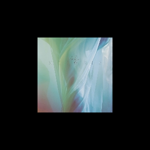Ele Ypsis – Meiosis
