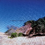 Michel Cloup - Béatrice Utrilla – États Des Lieux Intérieurs