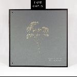 Seventeen At This Time – Home Is Where The Heart Is