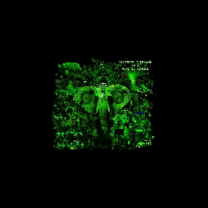 Concrete Elephant – In A Plastic Jungle