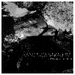 Le Crapaud Et La Morue – Franche Camaraderie