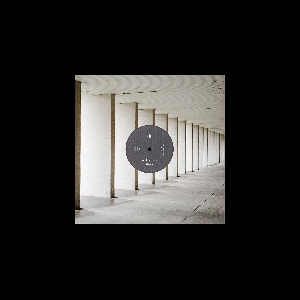 Andrea Belfi – Alveare