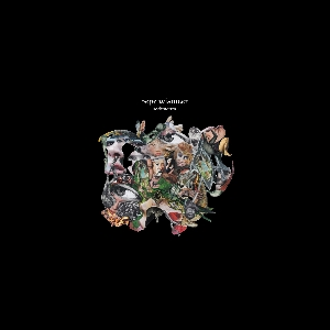 Pepe Wismeer – Sediments (Édition Deluxe Numéroté)