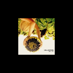 Chicaloyoh – Jaune Colère
