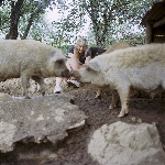 Off Models – Never Fallen In Love