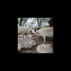Off Models – Never Fallen In Love