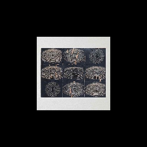 Kepler – S/T