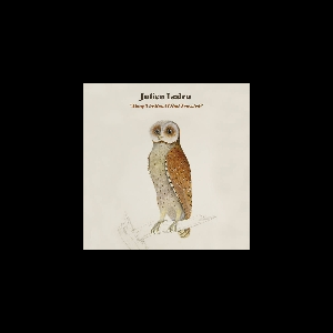 Julien Ledru – Along The Road I Had Traveled