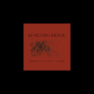 Jean-Luc Guionnet & Miguel A. Garcia – Siticidelhous