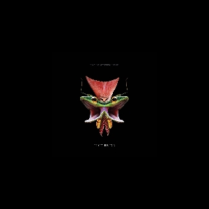 Tony Buck & Massimo Pupillo – Time Being
