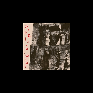Pascal Vaucel - Carla Diratz – Précis Aimant