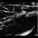 Small Cruel Party – Islands Of Sleep