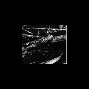 Small Cruel Party – Islands Of Sleep