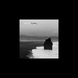 Thomas Méreur – Dyrholaey