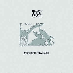 Healing Force Project – Origins Of The Gray Spaces