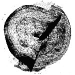 El Memorioso – Cinq Formes Du Temps