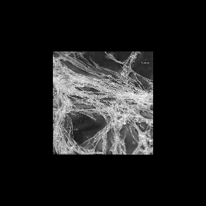 Hélène Breschand – Octopus (Breschand Plays Eliane Radigue & Kasper T. Toeplitz)