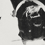 Unglee Izi – Apprentissage & Remplacement