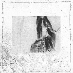 Various Artists – Delicacy Spectrum