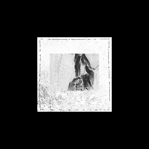 Various Artists – Delicacy Spectrum