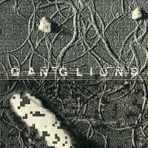 Gaudenz Badrutt – Ganglions