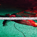 Various Artists – Save The Nature - Use Fluxus, The Box Parking Lot, Los Angeles