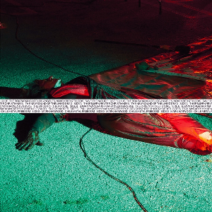 Various Artists – Save The Nature - Use Fluxus, The Box Parking Lot, Los Angeles