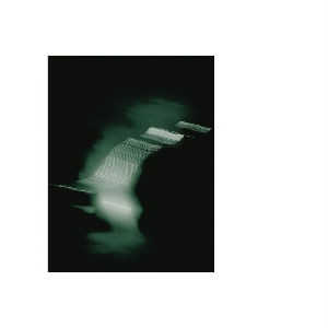Brian Case – Parallel Voices
