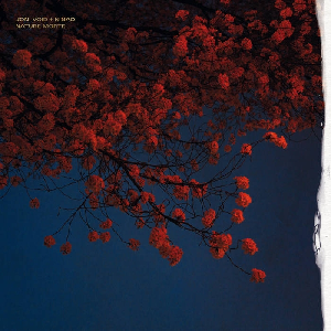 Joni Void + N Nao – Nature Morte