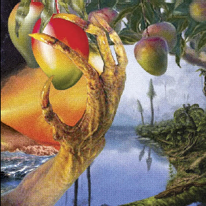 Timelash – A Morphology Of Wonders
