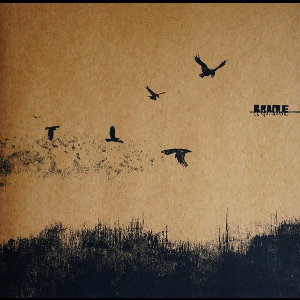 Brame – Ce Qui Rode