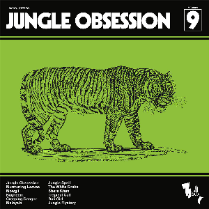 Nino Nardini & Roger Roger – Jungle Obsession