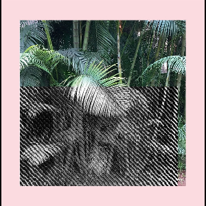 Norscq – 5 Streams