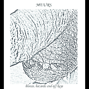 Roro Perrot / Vomir – Blooze, Hazards And Off Keys