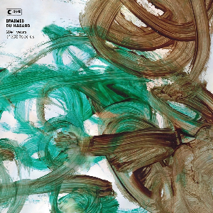 Various Artists – Spasmes Du Hasard (20+1 Years Of Sdz Records)