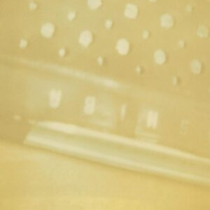Steve Roden – The Radio - Airria (Hanging Garden) - Vein. Stems. Is. Calm