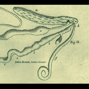 Julien Héraud – Hidden Parasites