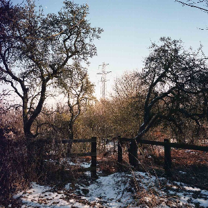 Zoviet France – The Decriminalisation Of Country Music