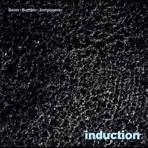 Beins - Butcher - Dafeldecker – Induction
