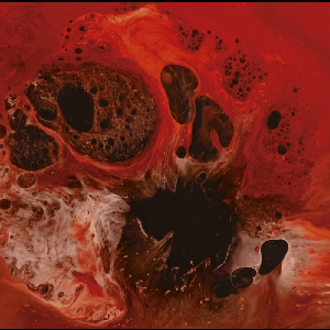 P.h.o.b.o.s. – Bleaker Beater (Rotten Blood Red Vinyl)
