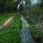 Numéro H. – Les Espaces