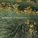 Alexandra Grimal - Giovanni Di Domenico – Down The Hill