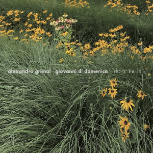 Alexandra Grimal - Giovanni Di Domenico – Down The Hill